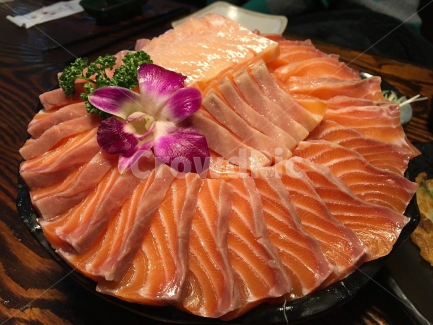 연어회,연어조각,술안주,꽃,꽃장식,파슬리,음식,식재료,요리,food,cook,meal,dishes,food reserves