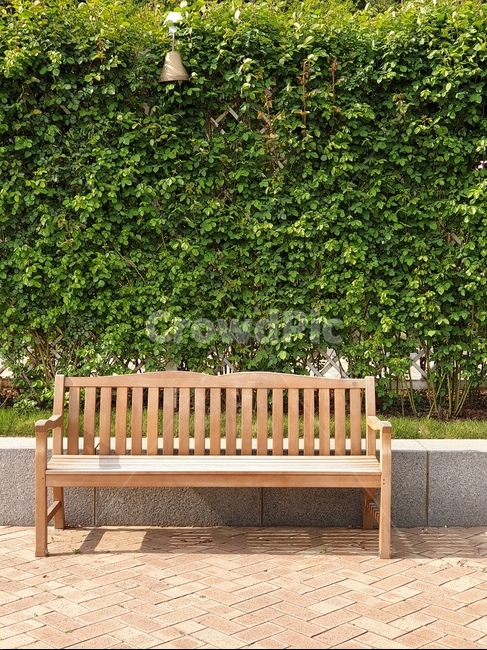 의자,자연,분위기,감성,나무,목재,나무의자,풀,chair,wood,woodchair,mood