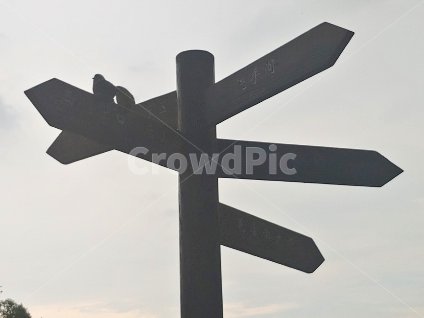 중국,샤먼,안내,화살표,표지판
