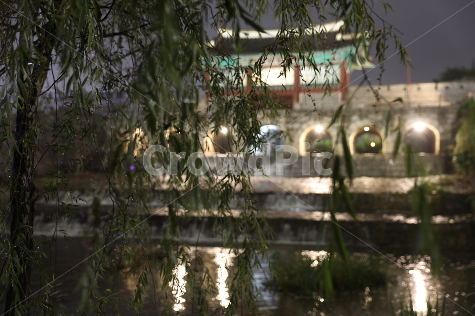 풍경,야경,반영,수원화성,수원,밤,nightscape,night,landscape,한국전통,한국문화,koreantraditional,랜드마크,한국관광지,한국명소,야경,밤,풍경,nightscape,night,landscape,한국전통,한국문화,korean traditional,korean culture,랜드마크,landmark,tourist attraction,한국랜드마크,한국관광지,한국명소,korea landmark,korea tourist attraction,tree,나무,plant,식물