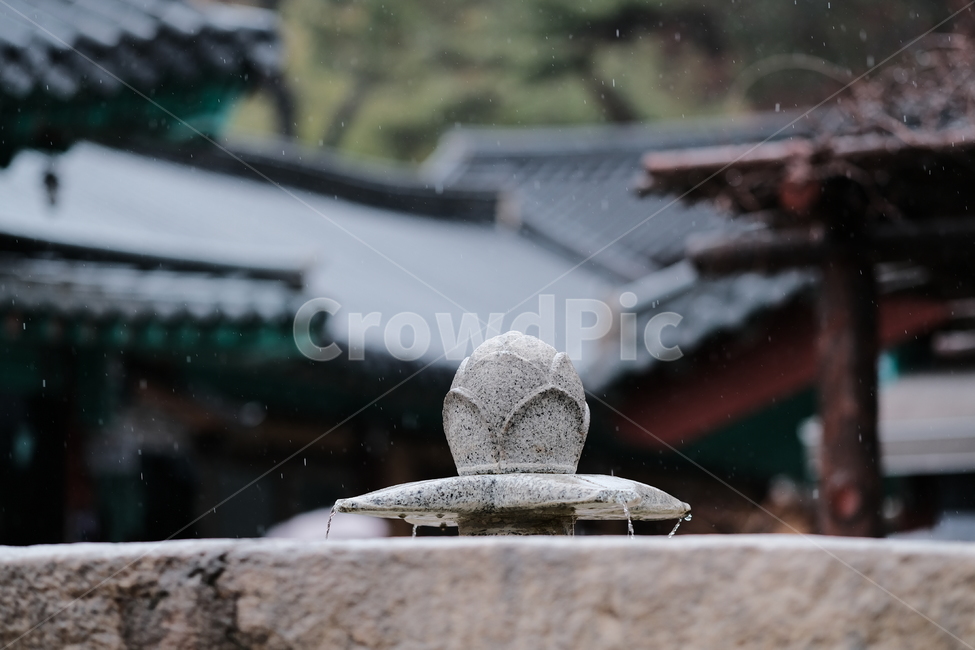 rainyday,절,사찰,비,temple,한국전통,한국문화,korean traditional,korean culture,비,비오는날,rain,rainy