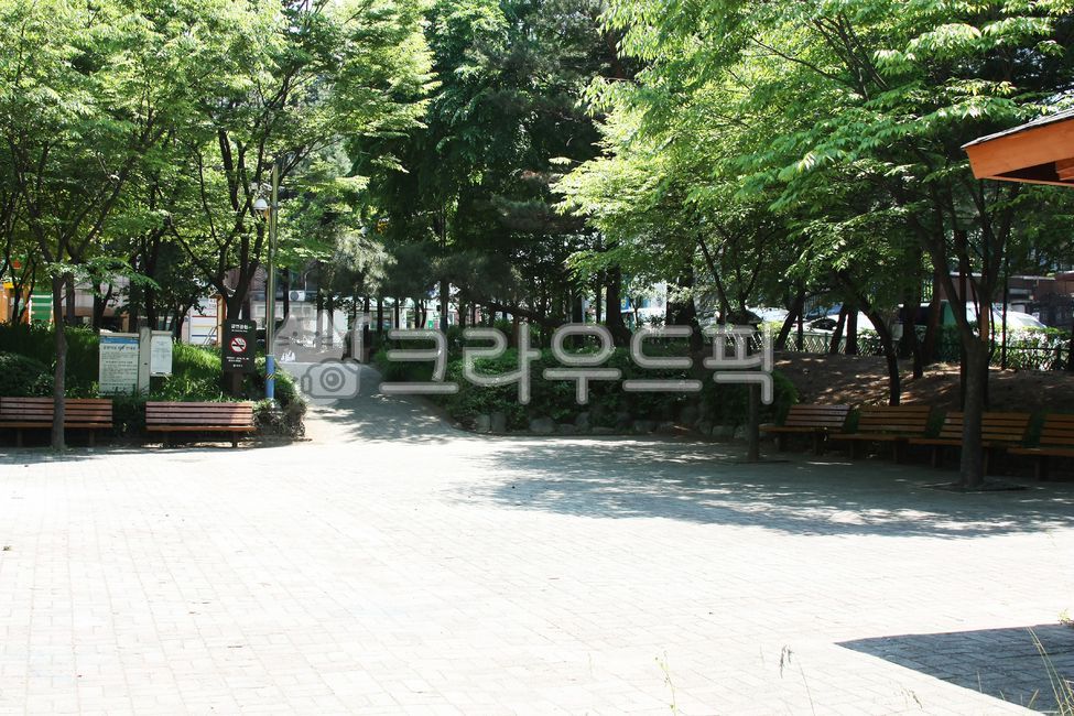 나무,느티나무,공원,벤치,나무줄기,정원,자연,옥외,길,보도,판석,초목,풀,쉼터,tree,zelkovatree,parks,benches,treetrunks,gardens,nature,outdoors,roads,sidewalk,plank,vegetation,grass,shelter