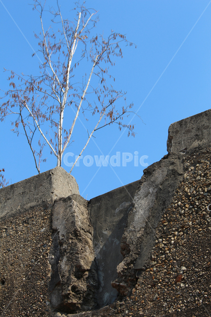 벽,갈라진벽,부서진벽,파란하늘,나무,wall,cracekedwall,brokenwall,bluesky,tree,건축물,건물외관,exterior,building,structure,architecture,construction