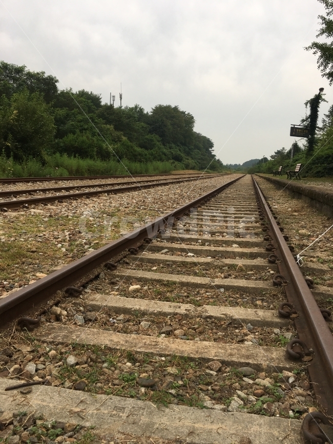 기차길,외로움,한적함,손꼽놀이,길길,교통,교통수단,traffic,transportation,railway,철도,rail,레일,train track,기찻길,dirt road,흙길,road,도로,gravel,자갈