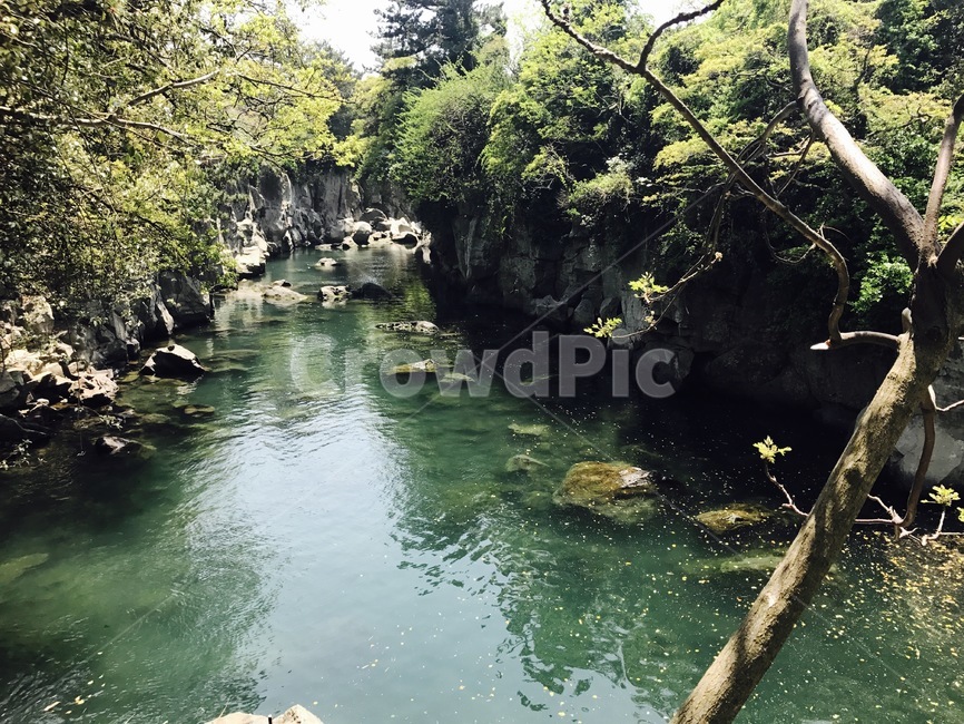 물,자연,나무,풀,nature,자연,풍경,nature,landscape,water,outdoors,옥외