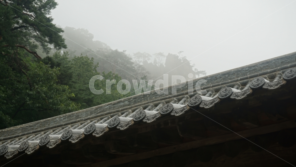 풍경사진,비오는날,안개,설악산,자연사진,사찰,여행사진,한국전통,한국문화,korean traditional,korean culture,건축물,건물외관,exterior,building,structure,architecture,construction