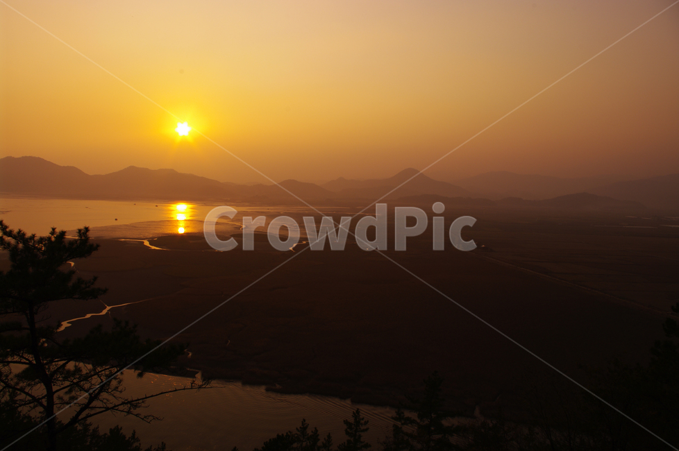 순천만,일몰,석양,노을,풍경,갈대밭,자연,풍경,nature,landscape,한국자연풍경,한국자연경관,korea nature landscape,flare,플레어,light,빛,outdoors,옥외,sunlight,햇빛