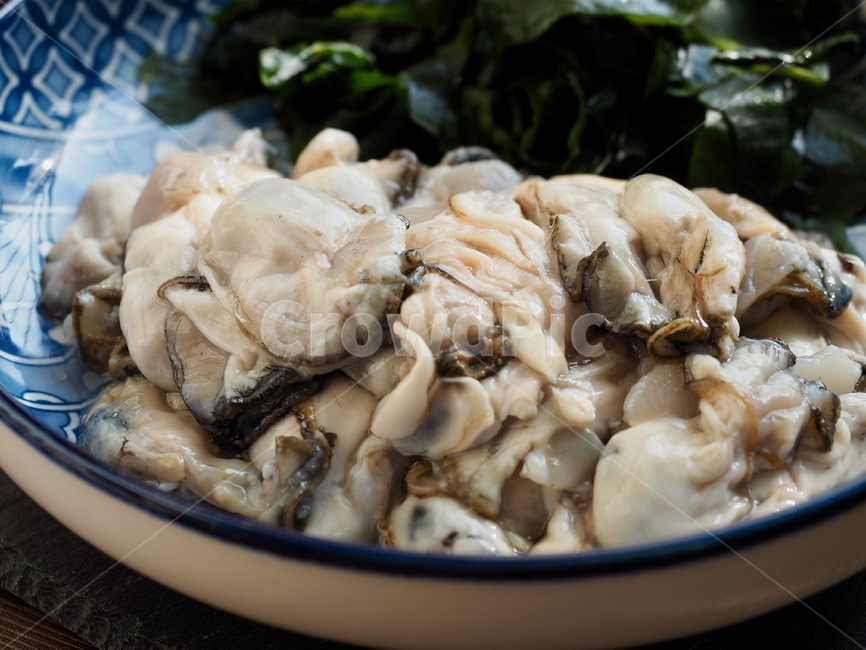 굴,미역,조개류,해초,생굴,음식,배경,해산물,식사,oyster,seaweed,shellfish,seaweeds,rawoyster,food,background,seafood,meal,음식,식재료,요리,food,cook,meal,dishes,food reserves