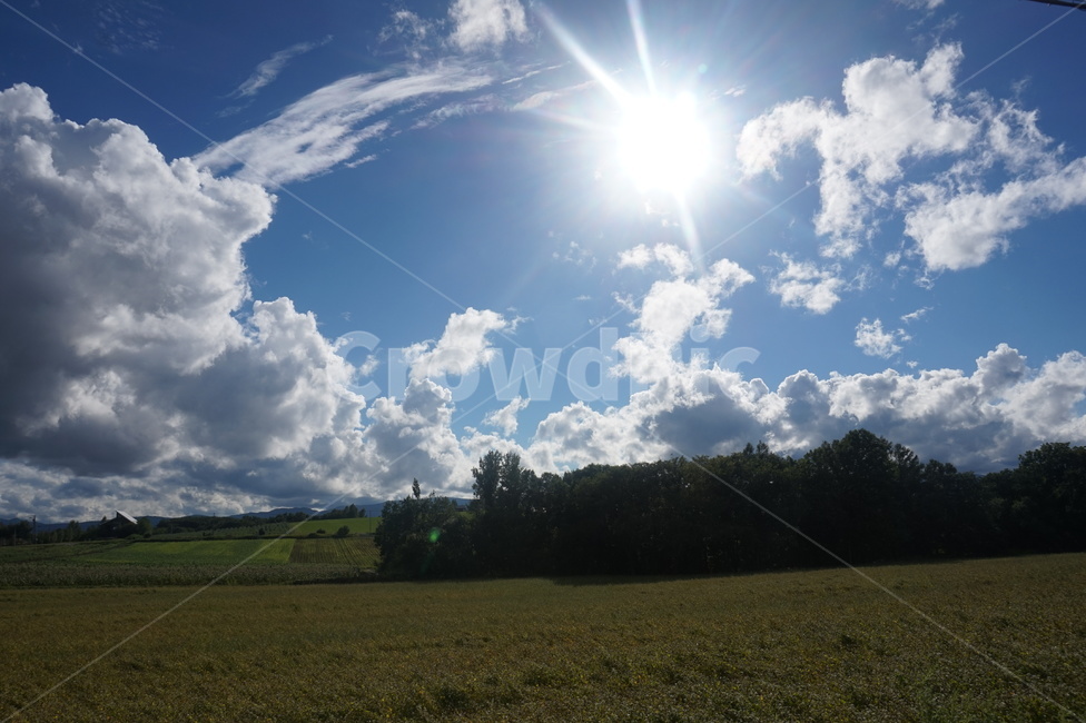 일본,홋카이도,북해도,풍경,나무,하늘,구름,태양,해,자연,풍경,nature,landscape,outdoors,옥외,sky