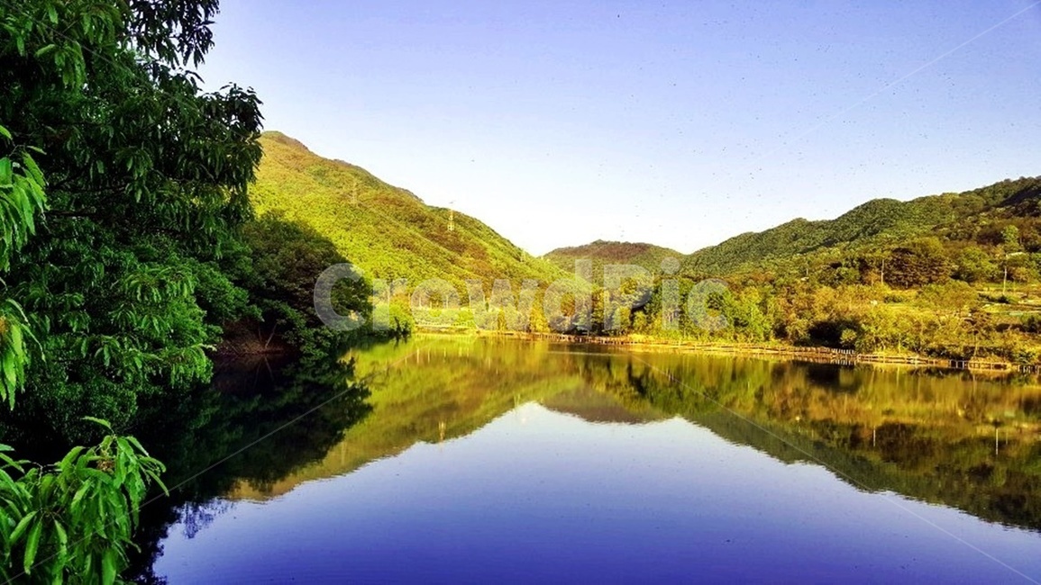 풍경,둘레길,자연,나무,저수지,물,자연,풍경,nature,landscape