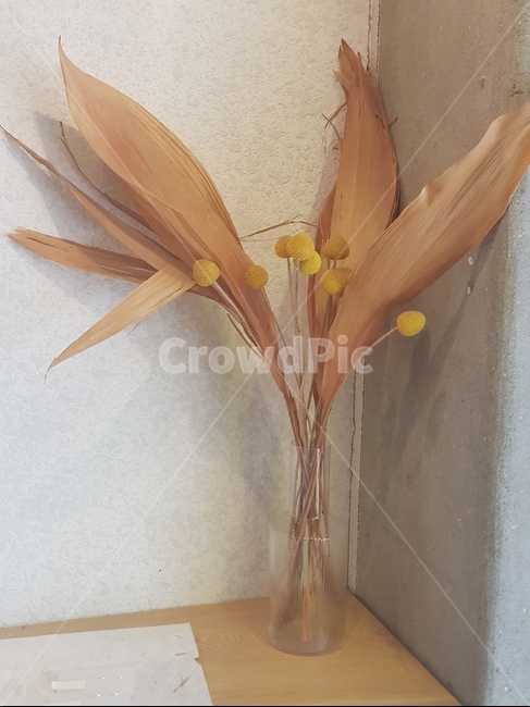 데코,무드,브라운,꽃병,드라이플라워