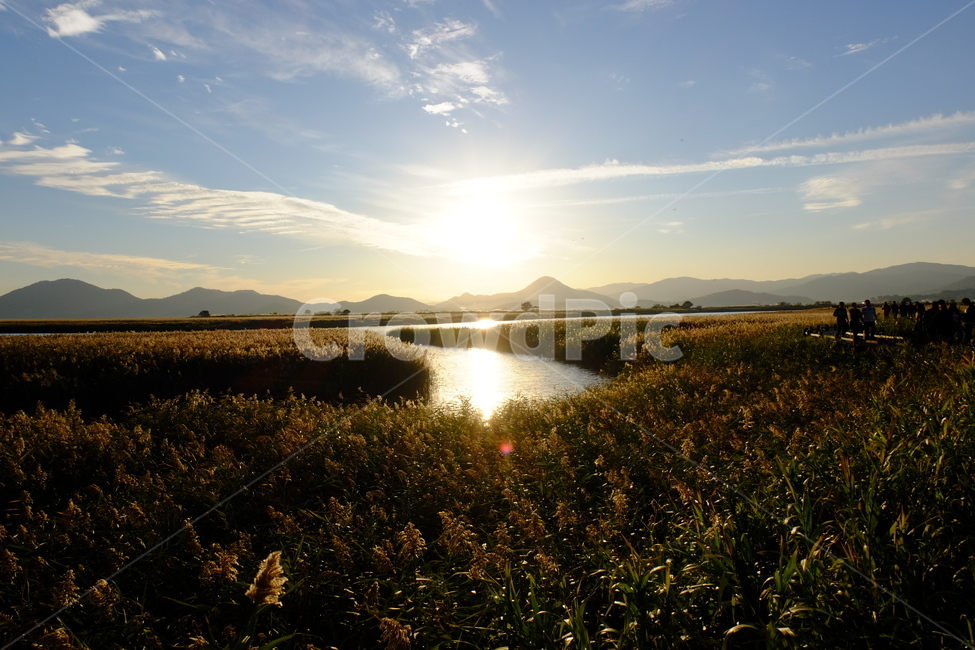 순천만,전망대,노을,갈대,순천,sunset,조각배