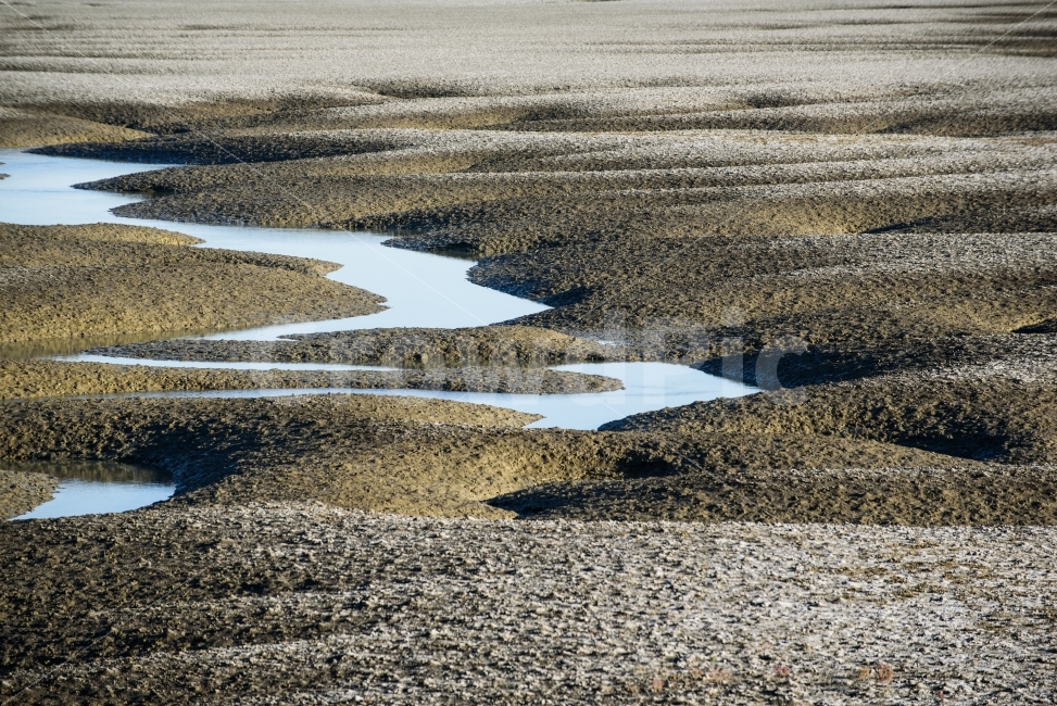 갯벌,바다,간척지,가뭄,운염도,갈라지다,척박한,환경,모래,자연,풍경,nature,landscape,ground,바닥,road,도로,gravel,자갈,dirt road,흙길