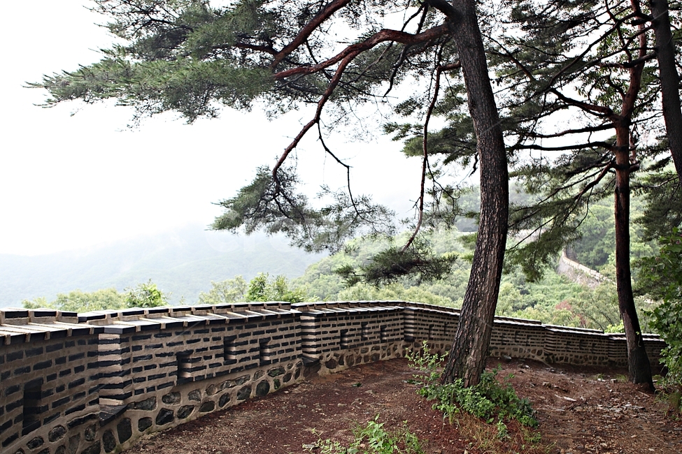 남한산성,성,성곽,숲,숲길,길,둘레길,벽,담,돌담,풍경,여름