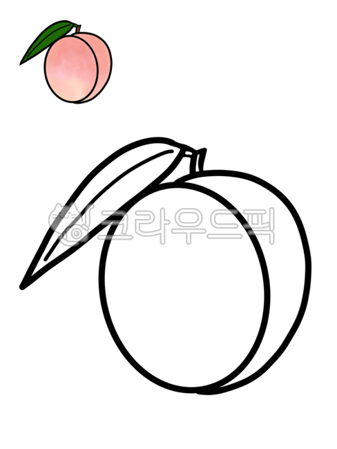 색칠공부,색칠,크레파스,과일색칠,과일색칠공부,과일,과일칠하기,초등미술,과일일러스트,그림놀이,도안,과일도안,복숭아,복숭아일러스트,복숭아그리기,복숭아색칠,복숭아색칠하기,복숭아색칠공부,유아미술,유아색칠놀이,색칠놀이,과일색칠놀이,과일,열매,fruit,그래픽,일러스트레이션,graphic,illustration