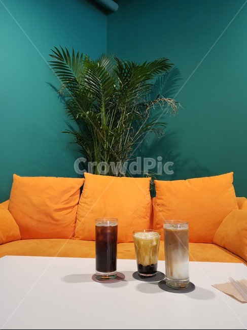 couch,침상,furniture,가구,쇼파,화분,야자수,야자나무,주황색,카페,잔,유리잔,음료,테이블,흰색,인테리어,휴지,카페라떼,아이스아메리카노,아메리카노,의자,휴식,커피,카페,coffee,cafe