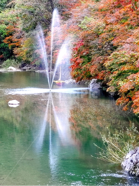 단풍,가을,물,나무,빨강단풍,가을,계절,fall,autumn,season,자연,풍경,nature,landscape,water