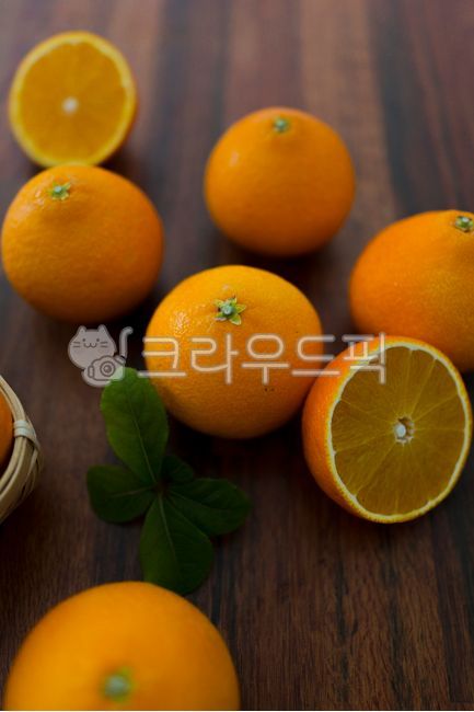 citrusfruit, 감귤류과일, 과일, fruit, orange, 사진,이미지,일러스트,캘리그라피 - gotolondon작가