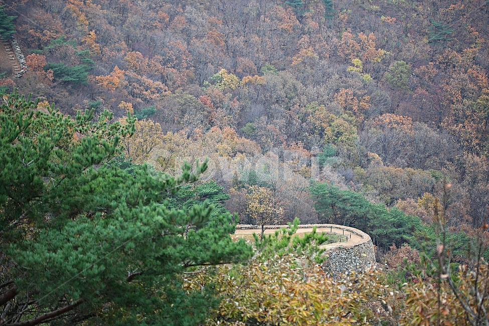 전등사,산성,성,성곽,길,둘레길,숲,숲길,담,돌담,가을,자연,풍경,식물,벽,방어벽,낙엽,단풍,가을,계절,fall,autumn,season,자연,풍경,nature,landscape