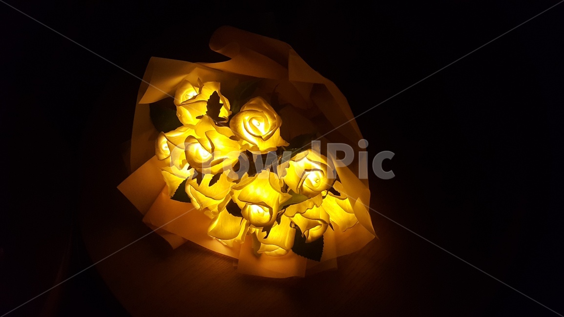 꽃,불빛,조명,꽃다발,빛,light,무드등
