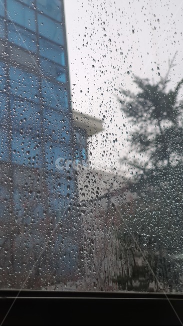 비,유리,빗물,물방울,건물
