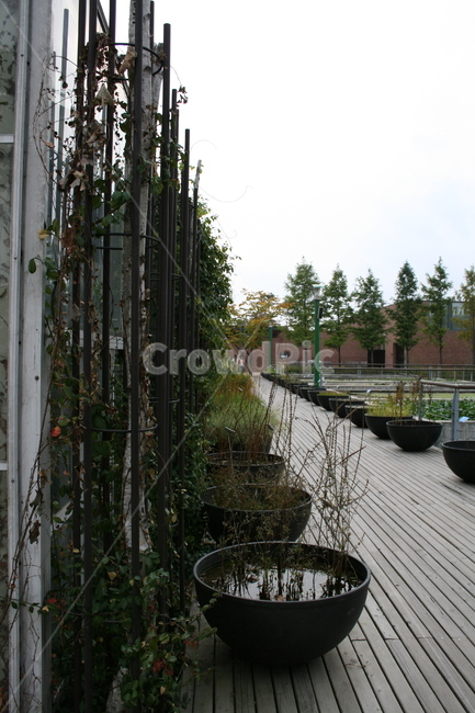 식물,plant,공원,넝쿨,길,자연,풍경,nature,landscape