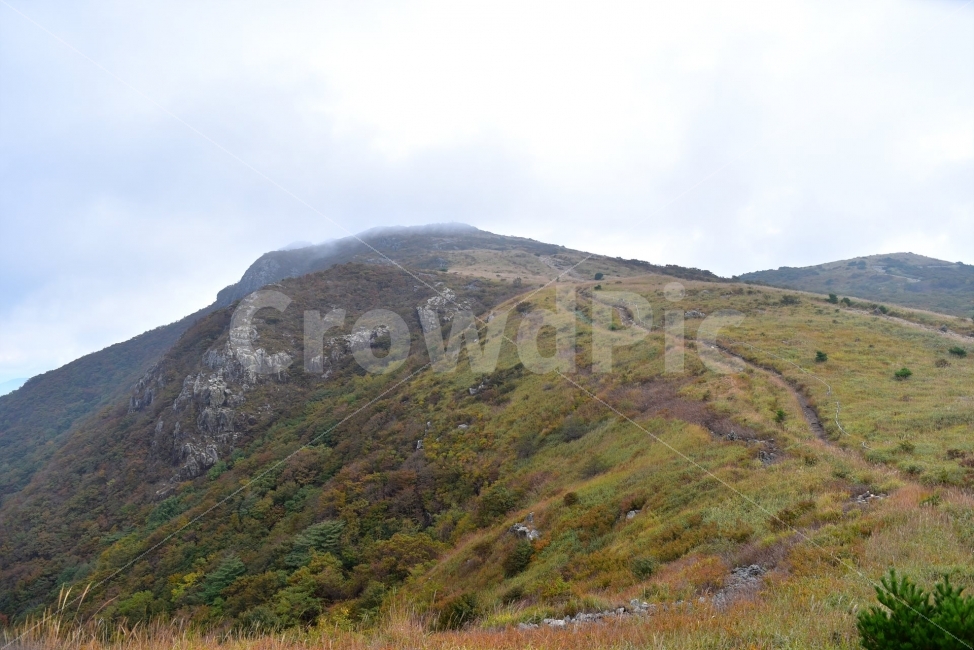영축산,신불산,영남알프스가을,풍경,낙엽,명산,자연,비경,단풍나무,가을색,가을색채,가을풍경,운해,장관,구름,억새,영알,억새평전,mountain,Landscape,가을,계절,fall,autumn,season,자연,풍경,nature,landscape,한국자연풍경,한국자연경관,korea nature landscape,outdoors,옥외,hill,언덕