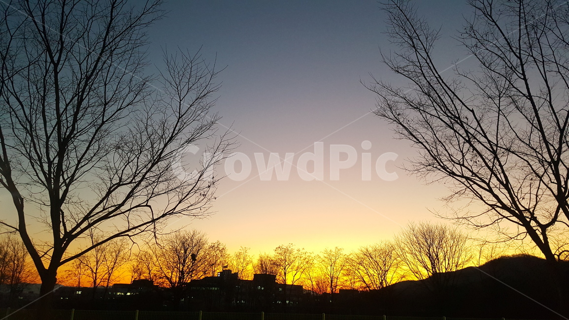 겨울,노을,일몰,석양,sunset,magichour,winter,개와늑대의시간,실루엣,자연,풍경,nature,landscape,실루엣,그림자,silhouette,shadow,outdoors,옥외,dawn,새벽,red sky,붉은 하늘,sky,하늘,dusk,황혼