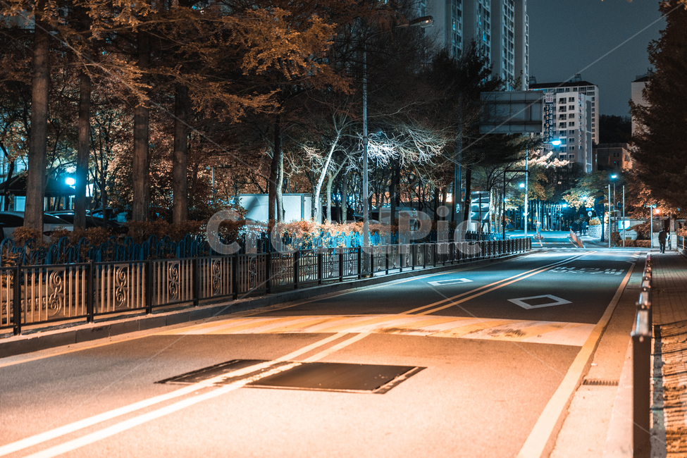 야경,도로,빛,찻길,과속방지턱,나무,야경,밤,풍경,nightscape,night,landscape,도시,city,한국도시풍경,한국도시경관,korea cityscape,road,intersection,교차로,asphalt,아스팔트