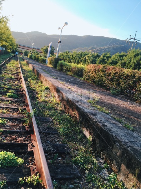 transportation,교통,rail,레일,traintrack,기찻길,railway,철도,교통,교통수단,traffic,transportation