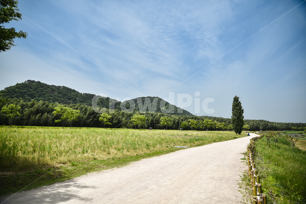 흙길,태화강,태화강대공원,울산태화강,웅산,자연,풍경,nature,landscape
