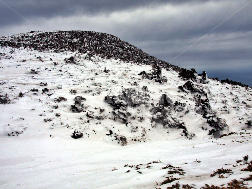 어리목,제주도,한라산,설경,겨울,설화,겨울산,눈,백록담,겨울,계절,winter,season,자연,풍경,nature,landscape,outdoors,옥외,mountain,산,snow