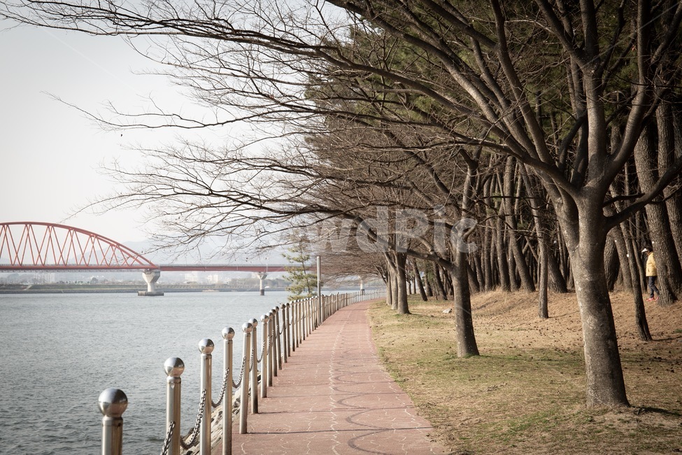 소나무,송림,소나무숲,공원,하동송림,자연,풍경,nature,landscape,handrail,난간,banister,railing,path,통로