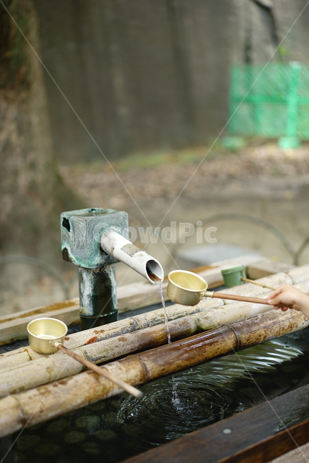 나무,wood,물,수돗가,일본,공원