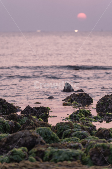 바다,일몰,sunset,노을,윤슬,sea,자연,풍경,nature,landscape