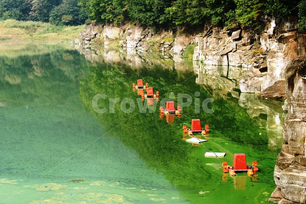 호수,녹조,환경,산소공급,대청호,자연,풍경,nature,landscape