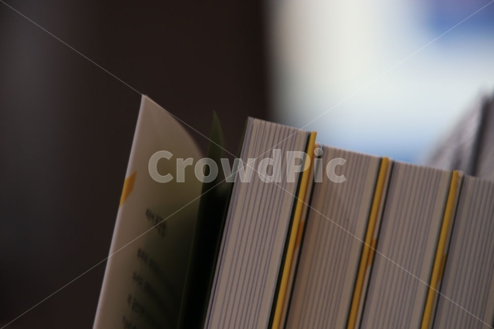 책장,서점,책,book,독서