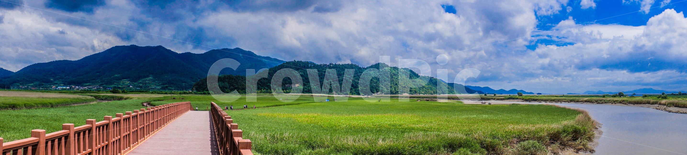 순천만,여름,자연,실외,목초지,자연,풍경,nature,landscape