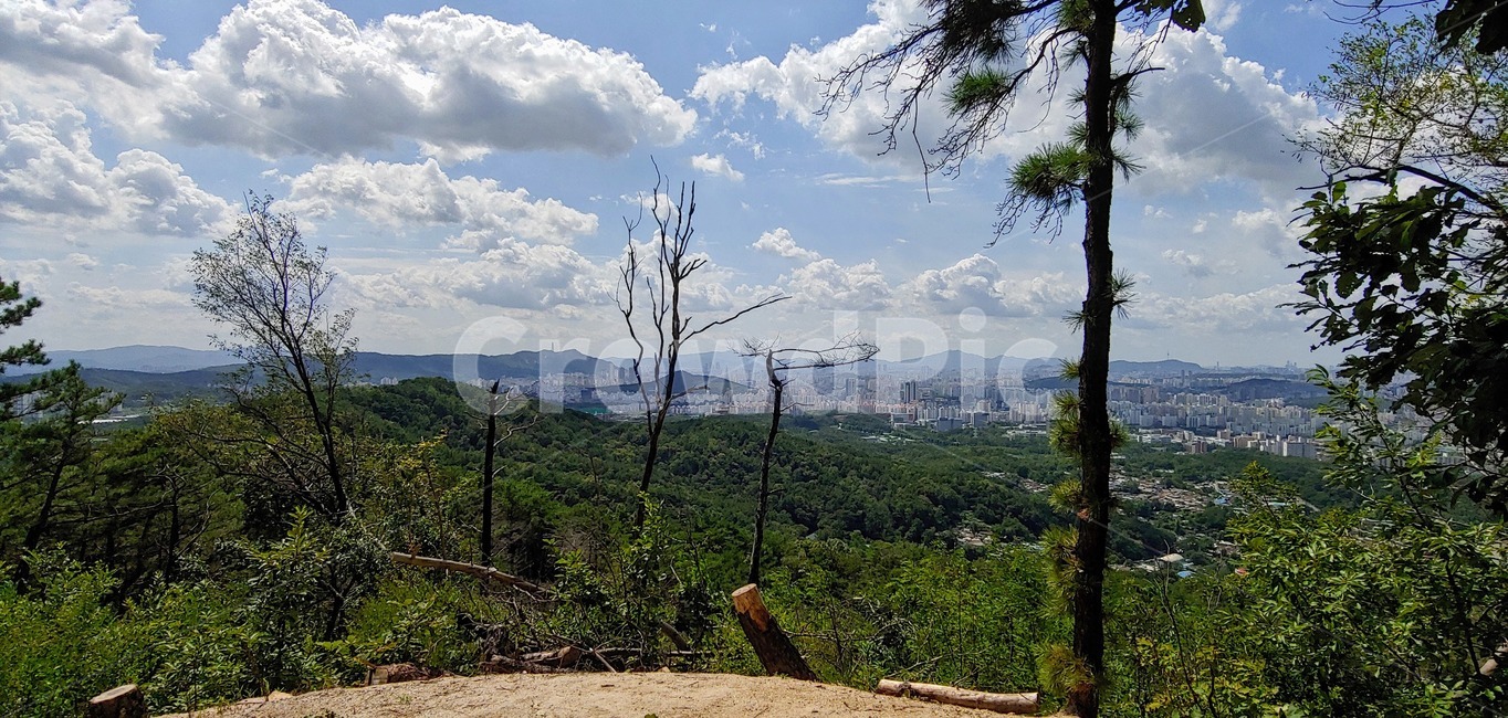nature,자연,outdoors,옥외,등산,산,불암산