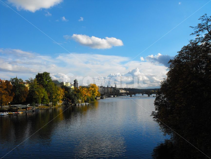 체코,체코강가,강가풍경,나무,단풍나무,단풍,하늘,구름,자연,자연풍경,river,czechrepublic,czechriver,riverview,picturesque,tree,maple,mapletree,sky,cloud