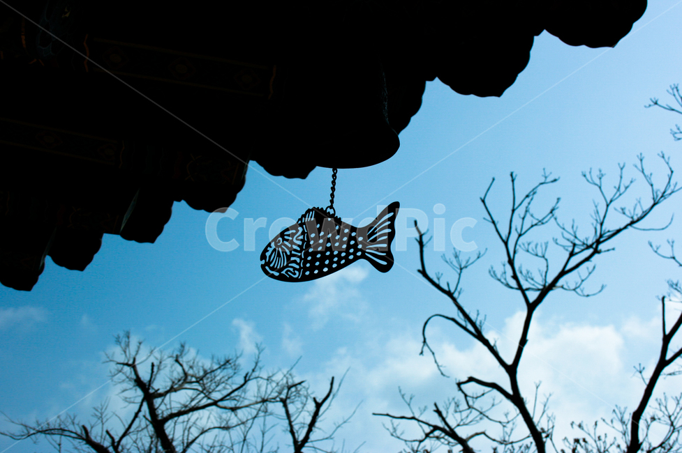 하늘,지붕,fish,사찰,물고기모양풍경,물고기풍경,풍경,감성,절