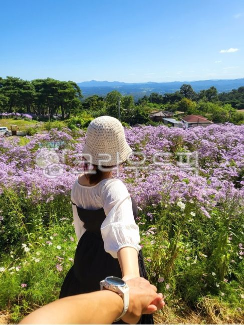 couple,flowergarden,purple,couple image