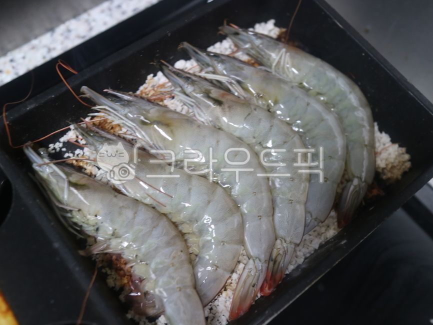 puffer shrimp,Shinan Shrimp,shrimp,Shrimp dish,Raw shrimp,white leg shrimp