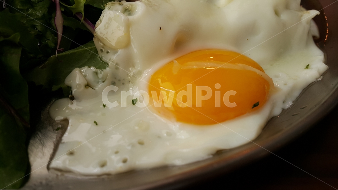 음식,음식사진,계란후라이,노른자,계란,반숙,food,음식,식재료,요리,food,cook,meal,dishes,food reserves
