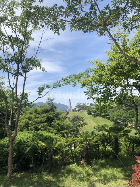 자연,나무,하늘,식물,풍경,자연,풍경,nature,landscape
