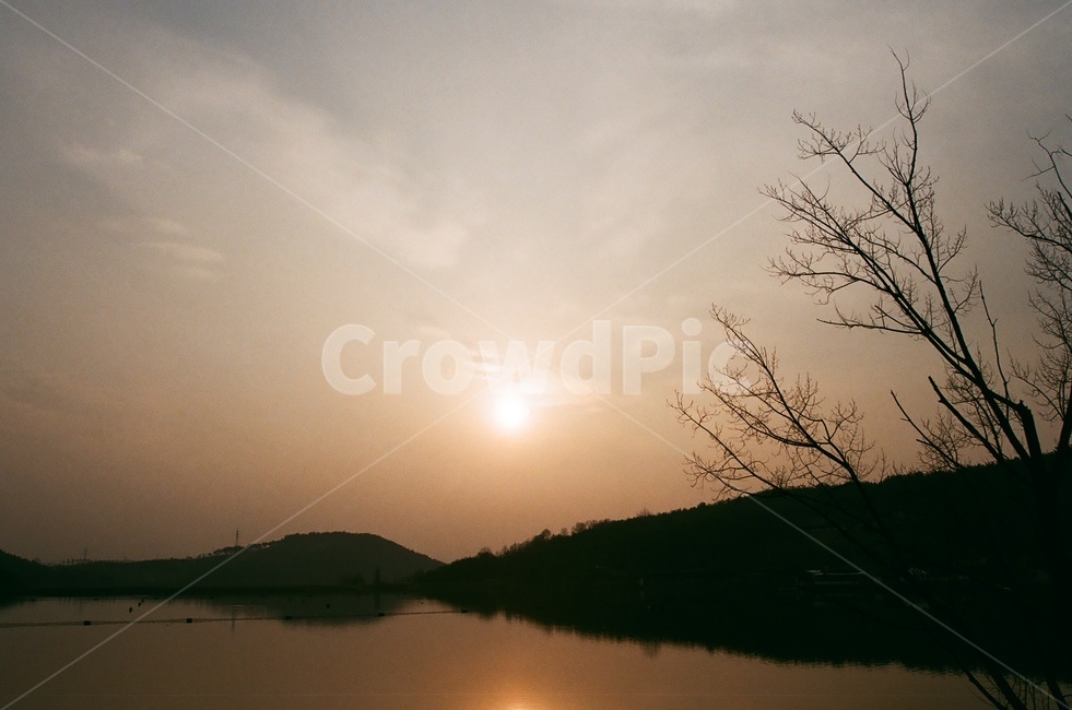 일몰,필름,film,nature,자연,sunlight,햇빛,light,빛,flare,플레어,outdoors,옥외,감성,노을