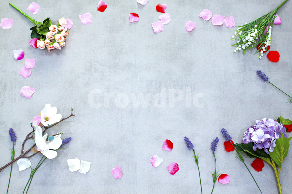 blossom,꽃,flower,plant,식물,petal,꽃잎,paper,confetti