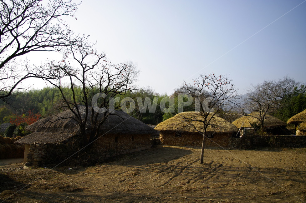 초가지붕,전통가옥,한국,초가집,집,마을,풍경,나무,시골,마을,풍경,landscape,country,rural,town,한국전통,한국문화,korean traditional,korean culture