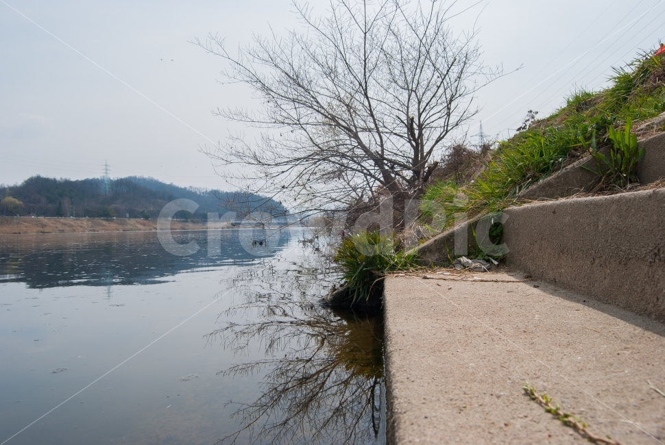 풍경,여유,계단,나무,일상,갑천,대전,자연,풍경,nature,landscape,한국자연풍경,한국자연경관,korea nature landscape