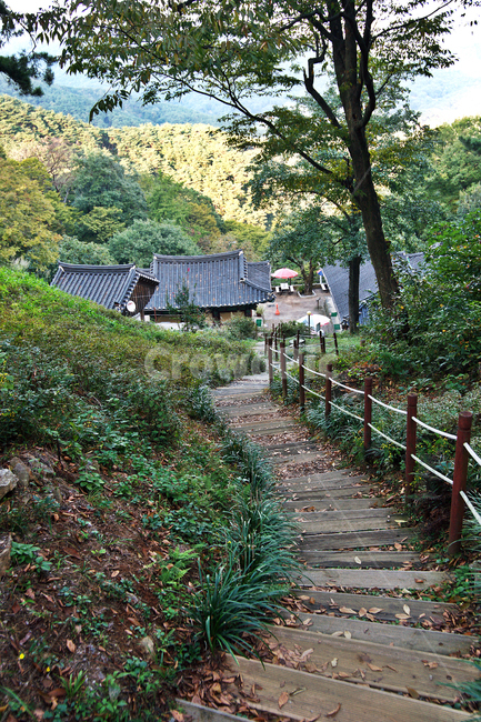 백련암,공주,말사,마곡사,오솔길,백범길,자연,풍경,nature,landscape,outdoors,옥외,building,건물